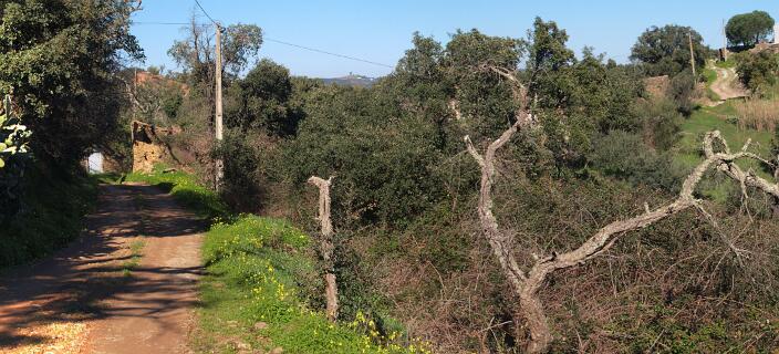 Z_2011 02 02_1503_P4